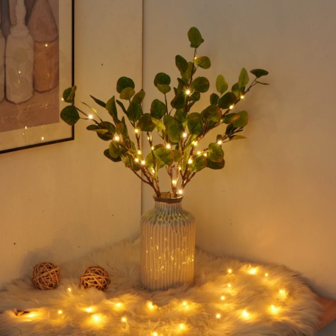 Blessed Eucalyptus Branch