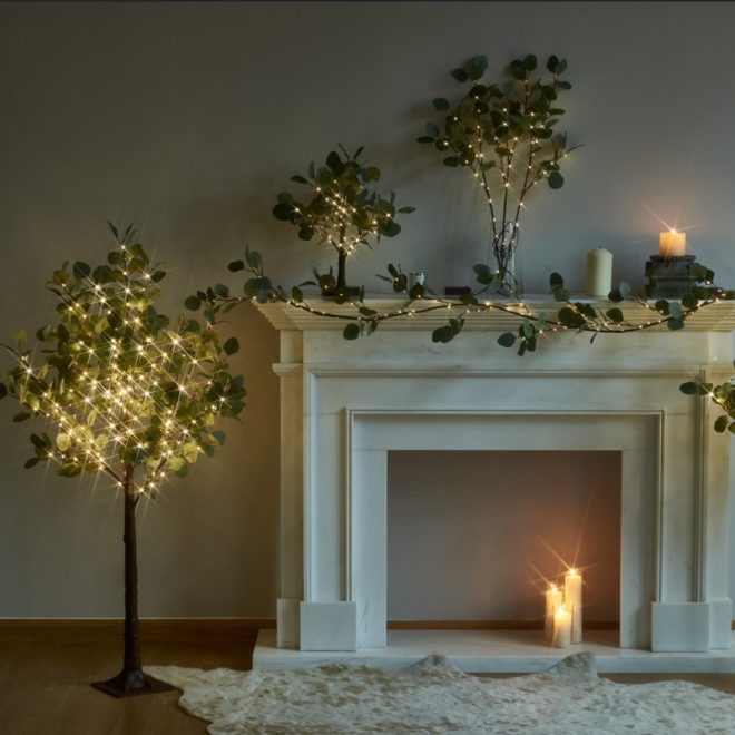 Blessed Eucalyptus Branch - 图片 2