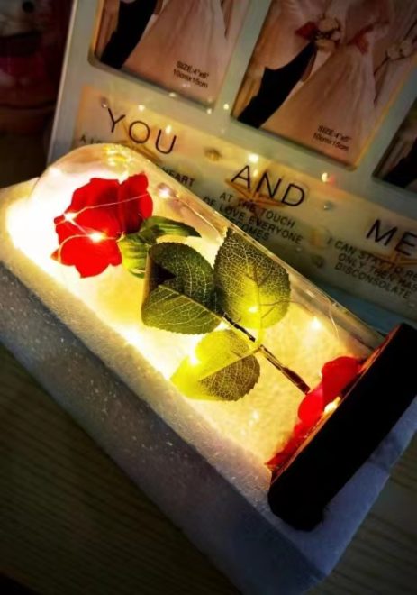 Everlasting Crimson Rose - 图片 5