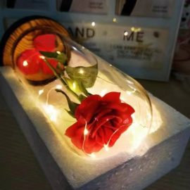 Everlasting Crimson Rose