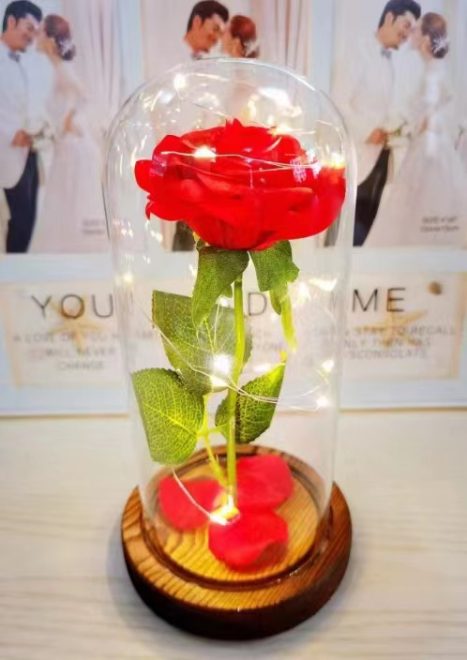 Everlasting Crimson Rose - 图片 3